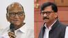 Sanjay Raut on Sharad Pawar : शरद पवार भाजपसोबत जाणार? संजय राऊतांची पहिली प्रतिक्रिया; म्हणाले, धर्मांध शक्तीपासून दूर...