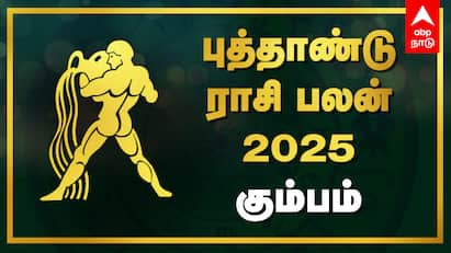 2025 New Year Rasi Palan Kumbam Puthandu Palangal New Year Horoscope Tamil Kumbam New Year Rasi Palan: பிறக்கிறது புதிய பாதை! 2025ல் உச்சத்திற்கு போகும் கும்பம் - முடிவுக்கு வரும் துன்பம்