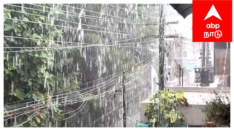 Mayiladuthurai district 24 hours rainfall report tnn என்னா மழை...! தாங்குமா மயிலாடுதுறை மாவட்டம்...! 