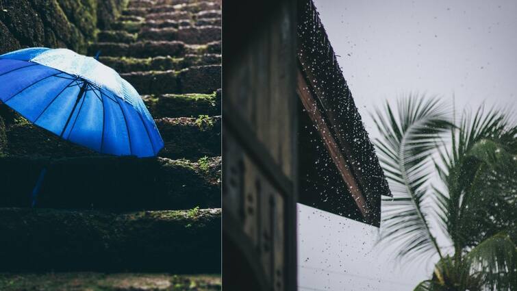 Tamil Nadu Rain Alert Low Pressure Area Likely to form Bay of Bengal Check here TN Rain Alert: டிச.16-ம் தேதி 6 மாவட்டங்களுக்கு கனமழை எச்சரிக்கை - வானிலை மையம் அறிவிப்பு!