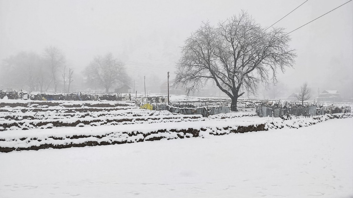 From Gulmarg To Baramulla: 5 Places In Kashmir To Experience Snowfall