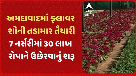 Ahmedabad Flower Show | અમદાવાદમાં ફ્લાવર શોની તડામાર તૈયારી, 7 નર્સરીમાં 30 લાખ રોપાને ઉછેરવાનું શરૂ