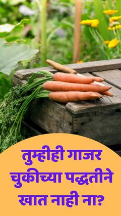 गाजर सोलून खावं की नाही? वाचा अन् ठरवा