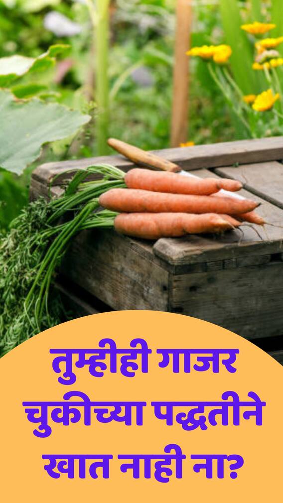 गाजर सोलून खावं की नाही? वाचा अन् ठरवा