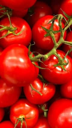 ਰਸੋਈ 'ਚ ਤੜਕਾ ਲਾਉਣਾ ਹੋਇਆ ਔਖਾ, ਟਮਾਟਰ ਦੀਆਂ ਵੱਧ ਗਈਆਂ ਕੀਮਤਾਂ