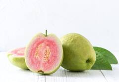 આ લોકોએ ક્યારેય ન કરવું જોઈએ જામફળનું સેવન, ફાયદાના બદલે થશે નુકસાન