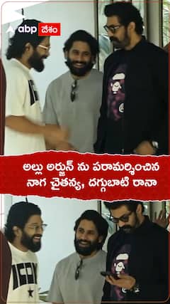 అల్లు అర్జున్ ను పరామర్శించిన నాగ చైతన్య, దగ్గుబాటి రానా
