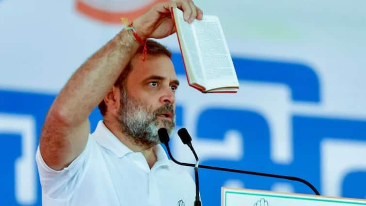 'Will Stand With Anyone Who Is Victim Of Violence': Rahul Gandhi Attacks BJP, AAP In Seelampur Rally