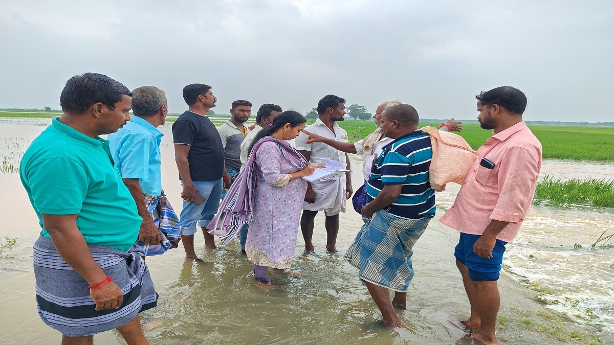 Thanjavur : தூர்வாரப்படாத ஏரிகள்.. நீரில் மூழ்கிய பயிர்கள்! வேதனையில் விவசாயிகள்..