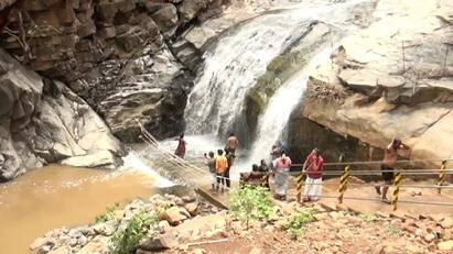 Salem rain Agaya Ganga Fall  Muttal Falls Bathing is prohibited tnn Agaya Gangai Falls: ஆர்ப்பரித்துக் கொட்டும் நீர்.. ஆகாய கங்கை நீர்வீழ்ச்சி, முட்டல் அருவியில் குளிக்க தடை