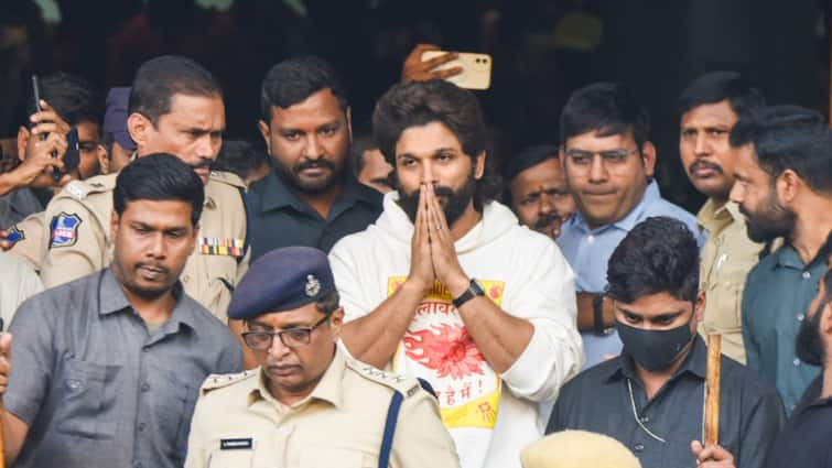 'I Am Sorry. I Shall Support The Family': Allu Arjun In First Remark After Release From Jail. WATCH