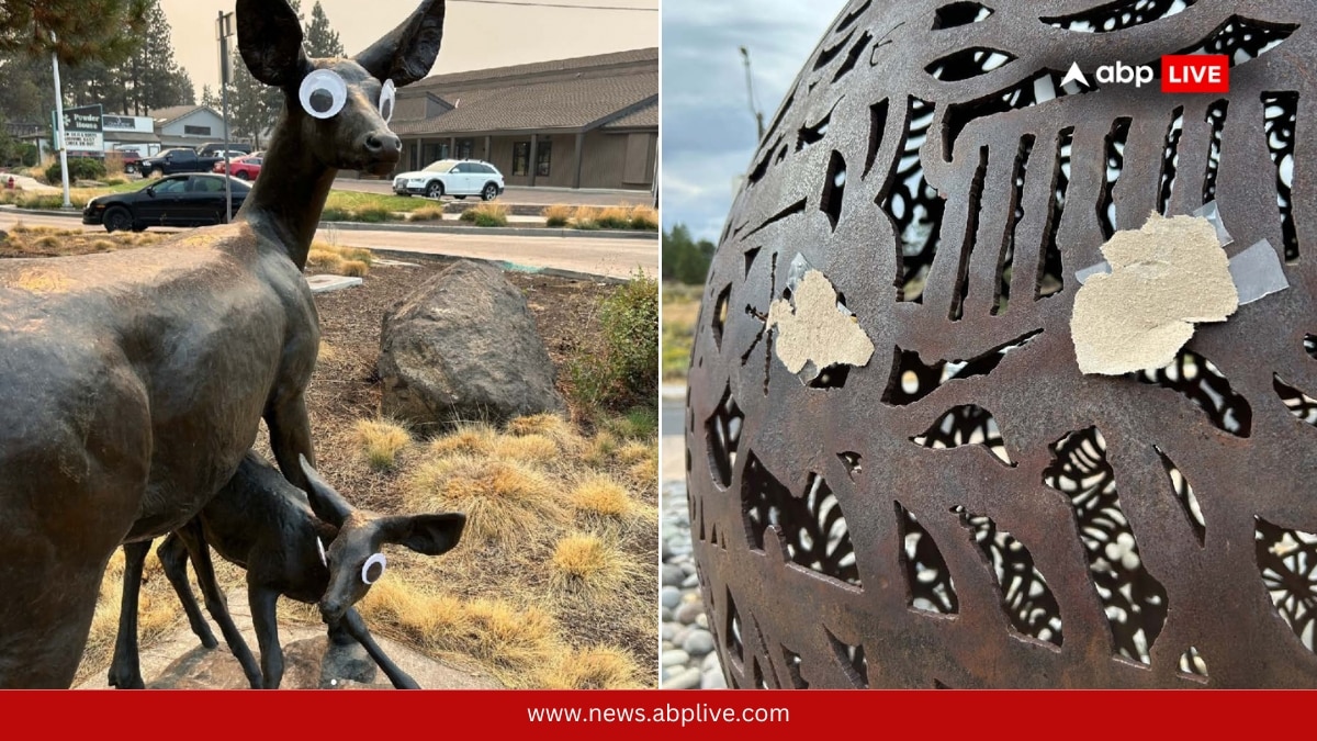 Who Is Behind The Googly-Eye Pranks In This US City? A 'Sticky' Issue For Govt But Locals Are Having Fun