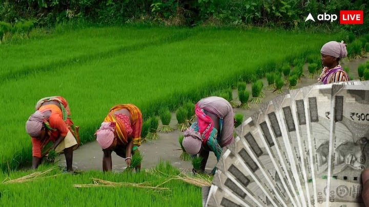 PM Kisan Yojana Next Instalment: किसान योजना में लाभ ले रहे करोड़ों किसानों को अब 19वीं किस्त का इंतजार है. इस दिन जारी हो सकती है 19वीं किस्त. तो इन किसानों के अटक सकते हैं पैसे.