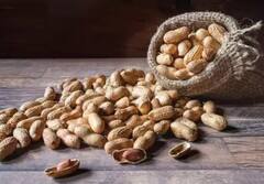 શું મગફળી ખાધા બાદ પાણી પીવું જોઈએ ? જાણો આયુર્વેદની સલાહ