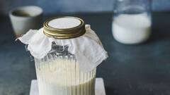 பால் பொருட்கள் கொண்டு செய்யப்படும் உணவுகள் முகத்தில் பரு உருவாக காரணமா?