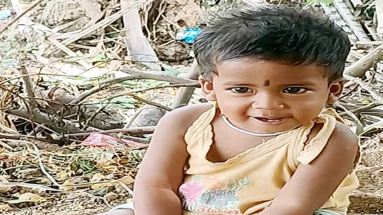 Thanjavur news one year baby death drowning in water - tnn விளையாடிய குழந்தைக்கு வினையானது வாய்க்கால்: நீரில் மூழ்கி பலியான சோகம்