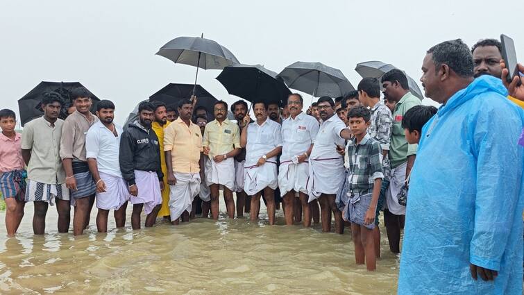 MLA personally inspects the flood affected areas in Peravurani TN Rains : விடாமல் கொட்டித்தீர்த்த மழை.. பேராவூரணியில் தேங்கிய  வெள்ளநீர் !  எம்எல்ஏ நேரில் ஆய்வு