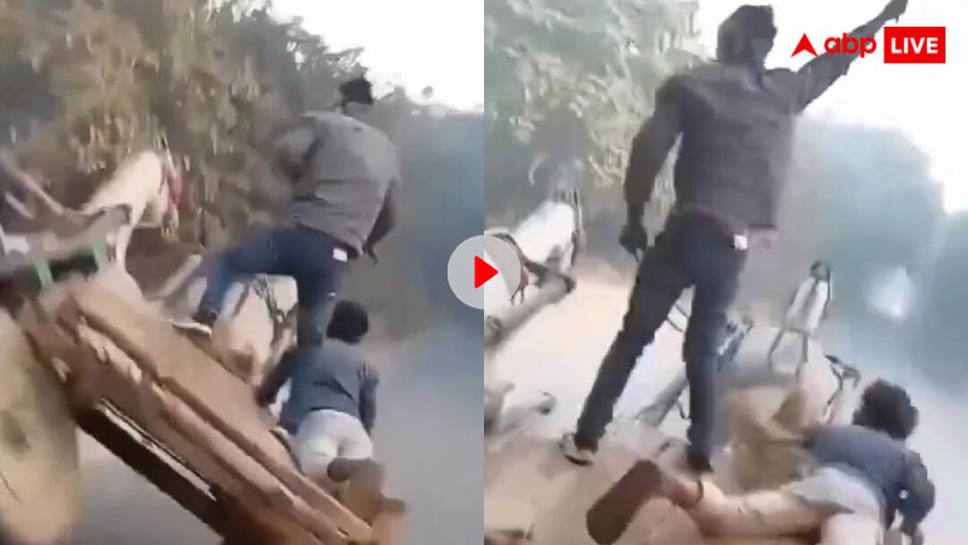 Boys were racing with a bullock cart the bullock cart overturned after they collided with each other आ गया स्वाद? शोले की धन्नो समझ दौड़ा रहे थे बैलगाड़ी, बीच सड़क पलटी धन्नो तो खत्म हो गया रेस का कीड़ा