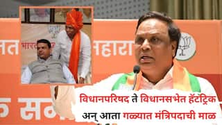 विधानपरिषद ते विधानसभेत हॅट्टट्रीक; BCCI चे खजिनदार अन् आता दुसऱ्यांदा फडणवीसांच्या मंत्रिमंडळात स्थान; कोण आहेत आशिष शेलार?