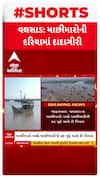 Valsad News : સૌરાષ્ટ્રના માછીમારોની દરિયામાં દાદાગીરી સામે વલસાડના માછીમારોની હડતાળ