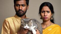 बिल्ली से ज्यादा प्यार करता था पति! पत्नी ने कर दिया केस, हाईकोर्ट ने सुनाया फैसला