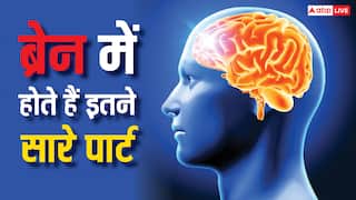सिर्फ हाथ-पैर ही नहीं होते दाएं-बाएं, दिमाग भी होता है लेफ्ट-राइट, कैसे जानें इनमें आप कौन?