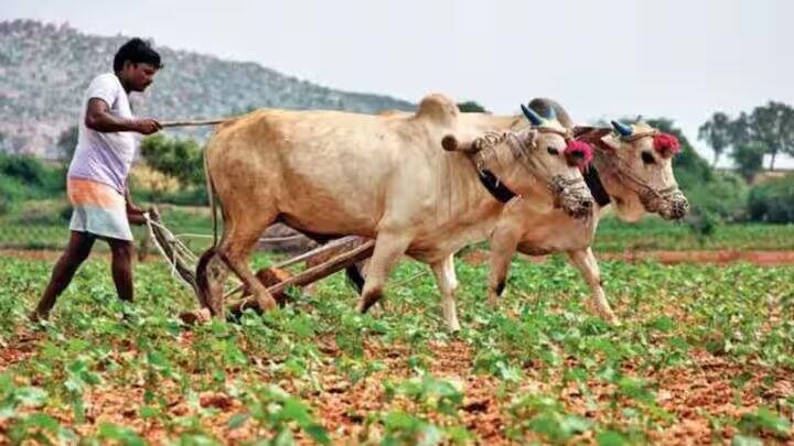 18મો હપ્તો રિલીઝ થયાને બે મહિના વીતી ગયા છે. યોજના હેઠળ લાભ લેનારા કરોડો ખેડૂતો હવે 19મા હપ્તાની રાહ જોઈ રહ્યા છે. માહિતી અનુસાર, હાલમાં 19મો હપ્તો રિલીઝ થવામાં હજુ બે મહિનાનો સમય લાગી શકે છે.