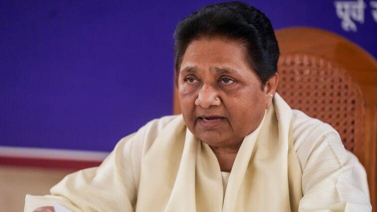 BSP Chief Mayawati React on Amit Shah Statement BR Ambedkar row in Rajya Sabha अमित शाह के बयान पर विवाद के बाद बोलीं मायावती-'दलितों के लिए बस एक ही भगवान आंबेडकर'