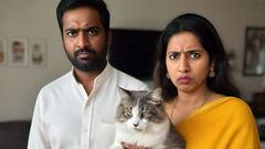 बिल्ली से ज्यादा प्यार करता था पति! पत्नी ने कर दिया केस, हाईकोर्ट ने सुनाया फैसला