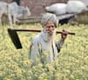 31 ડિસેમ્બર પહેલા ખેડૂતો આ કામ નહી કરે તો PM Kisan Samman Nidhiનો નહી મળે લાભ