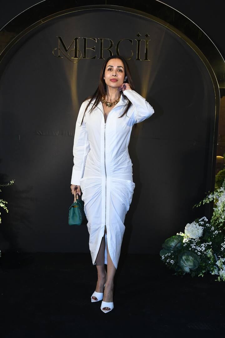 मलाइका अरोड़ा भी अपने एक्स हसबैंड अरबाज खान के बर्थडे बैश में शामिल हुईं. व्हाइट कलर के आउटफिट में वे काफी स्टाइलिश दिख रही थीं.