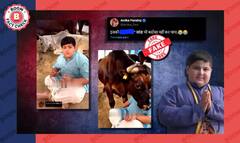 अभिनव अरोड़ा पर सांड ने नहीं किया हमला, 90 प्रतिशत AI जनेरेटेड वीडियो होने की संभावना