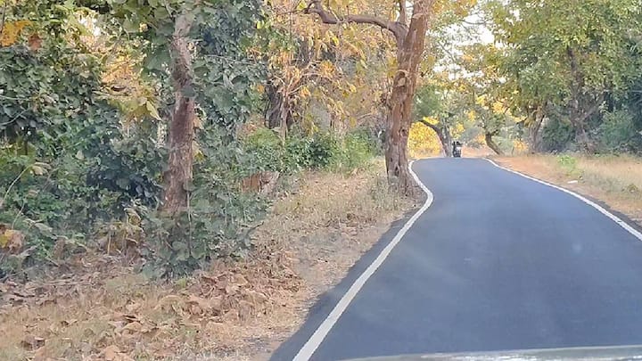 अरविंद बंडा यांनी स्वत: चित्रित केलेला हा व्हिडिओ आता व्हायरल होत आहे. त्यामध्ये, थरारकदृष्य पाहून पाहणाऱ्यांच्याही अंगावर काटा येईल.