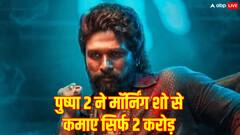 दूसरे सोमवार को धीमी पड़ी पुष्पा 2 की रफ्तार, 12वें दिन के मॉर्निंग शो से कमाई हुई 2 करोड़
