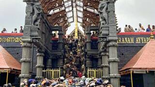 Sabarimala Ayyappa Temple Revenue for 29 days is Rs.163.89 crore tnn சபரிமலை ஐயப்பன் கோயிலில் 29 நாட்களுக்கு மொத்த வருவாய் ரூ.163.89 கோடி