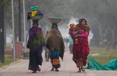 दिल्ली में जारी रहेगा शीतलहर का प्रकोप, दिसंबर में चौथी बार पांच डिग्री के नीचे गया तापमान