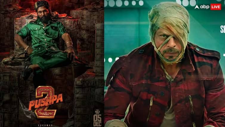 pushpa 2 movie break a big records and become top second weekend grossers in hindi beats Pushpa 2: બીજા અઠવાડિયે પણ પુષ્પા-2નો જલવો, હિન્દી બેલ્ટમાં આ મોટો રેકોર્ડ બનાવ્યો...