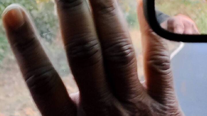 त्याचवेळी रस्त्याच्या दुसऱ्या बाजूला वन्यजीव छायाचित्रकार अरविंद बंडा वाघाचं चित्रीकरण करण्यासाठी थांबले होते. त्यामुळे, बंडा यांनी धोक्याचा इशारा केल्याने दुचाकीस्वाराने गाडीचा वेग कमी केला.