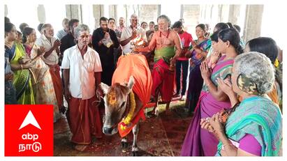 Mayiladuthurai sirkali sattainathar Temple margazhi month special worship  Margazhi 2024: சீர்காழி சட்டைநாதர் கோயிலில் மார்கழி மாத பிறப்பை அடுத்து சிறப்பு வழிபாடு!