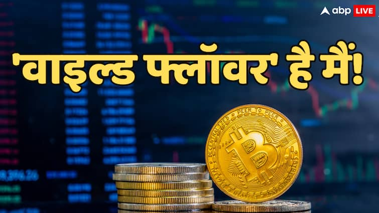 Bitcoin Today Price: बिटकॉइन ने रचा इतिहास, पहली बार 1 लाख डॉलर के पार पहुंची कीमत