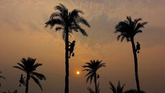 Weather Update: কমছে শীতের আমেজ, বঙ্গে ঊর্ধ্বমুখী পারদ; সপ্তাহান্তে বৃষ্টির ভ্রুকুটি এই জেলাগুলিতে