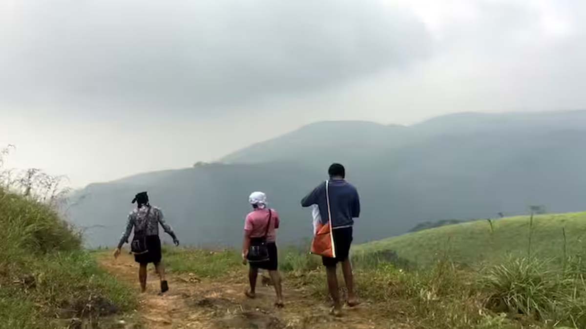 Sabarimala Temple: பெரிய பாதையில் செல்லும் ஐயப்ப பக்தர்கள் தரிசனம் செய்ய சிறப்பு ஏற்பாடு -  தேவசம்போர்டு அறிவிப்பு