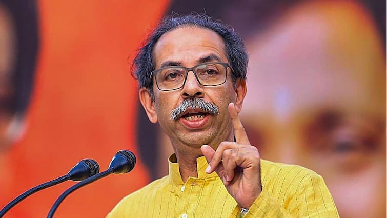 ‘Remove Aurangzeb’s Grave, But Call Chandrababu Naidu, Nitish Kumar Too’: Uddhav Thackeray’s Dig At BJP