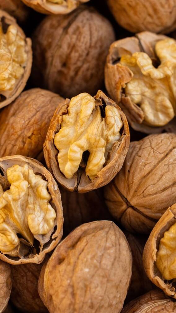 ਬਦਾਮ ਜਾਂ ਅਖਰੋਟ, ਕੀ ਖਾਣ ਨਾਲ ਜ਼ਿਆਦਾ ਵੱਧਦਾ ਦਿਮਾਗ?