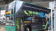 पाकिस्तान गाय की मदद से ऐसा क्या काम कर रहा जिसकी दुनिया भर में होने लगी चर्चा, क्या है मकसद