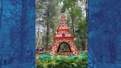 फुलांपासून आयफेल टॉवर! फुलं, धान्यांपासून साकारल्या विविध प्रतिकृती