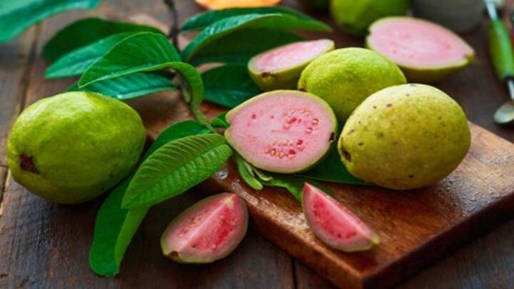 જામફળના સેવનથી અનેક ફાયદા થાય છે. આ ફળ દરેક લોકોને ભાવે છે. જામફળ ખાવામાં જેટલું સ્વાદિષ્ટ છે, તેટલું જ સ્વાસ્થ્ય માટે ગુણકારી છે. જામફળમાં ઘણા પોષક તત્વો હોય છે, જે શરીર માટે ખૂબ ફાયદાકારક છે.