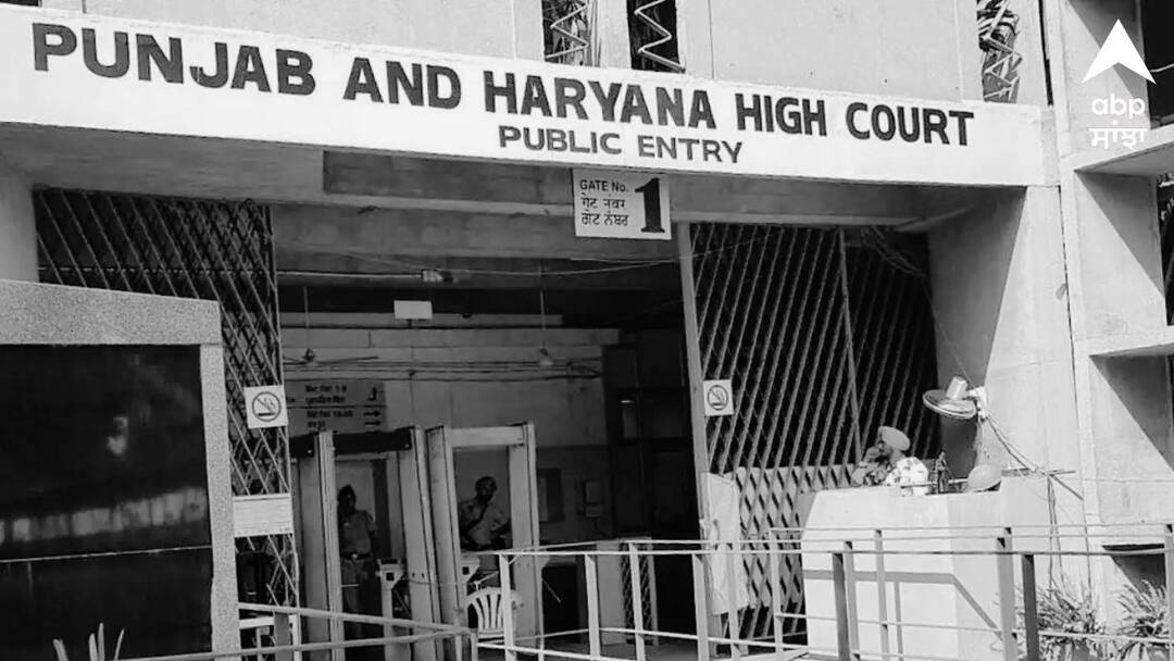 There will be strict security at polling booths in the municipal elections ਨਿਗਮ ਚੋਣਾਂ 'ਚ ਪੋਲਿੰਗ ਬੂਥਾਂ 'ਤੇ ਹੋਵੇਗੀ ਸਖ਼ਤ ਸੁਰੱਖਿਆ, ਹਰ ਬੂਥ 'ਤੇ ਤਾਇਨਾਤ ਰਹਿਣਗੇ ਸੁਰੱਖਿਆ ਕਰਮਚਾਰੀ, ਹਾਈਕੋਰਟ ਨੇ ਦਿੱਤੇ ਹੁਕਮ