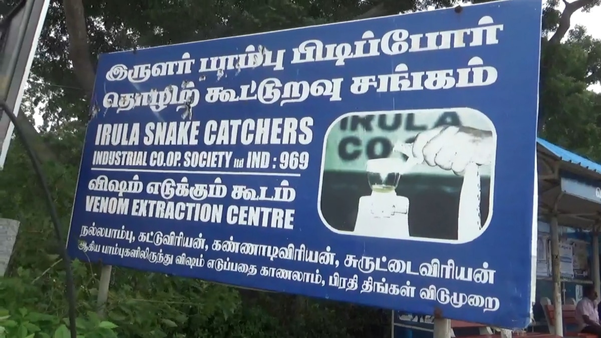 Snake Farm: பாம்பு தேடி அலையும் இருளர்கள்.. இசிஆரில் இப்படி ஒரு இடமா ? சுவாரசிய தகவல்கள்