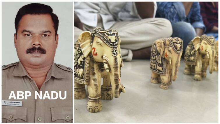 Trichy Police Sub-Inspector arrested for possession of toys made from elephant tusks tnn கடத்தலில் ஈடுபட்ட திருச்சி சப் இன்ஸ்பெக்டர் கைது; ஸ்கெட்ச் போட்டு தூக்கிய வனத்துறை